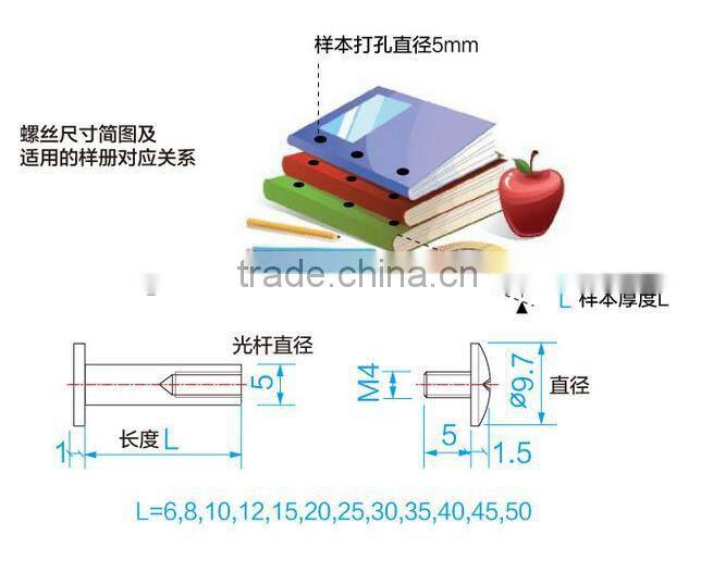 Plating nickel screw, ledger books screw, lash rivets, screws, docking nail recipes, 6-100 - mm