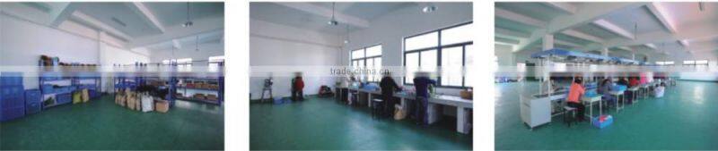 12v Two Cylinder 250 Psi Car Portable Air Compressor with 3 Nozzle Adpaters