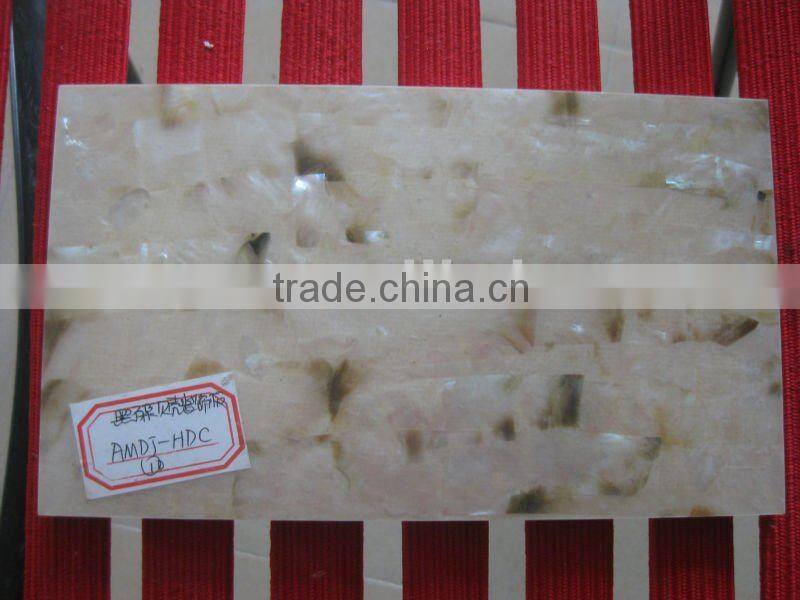 Natural mother of pearl sea shell wall tile