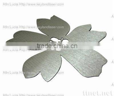 Stainless Steel Engraving Machine Laser Engraving and Cutting 600W