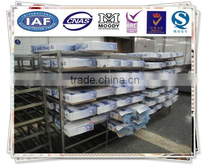 Scomber Scombrus Fillet