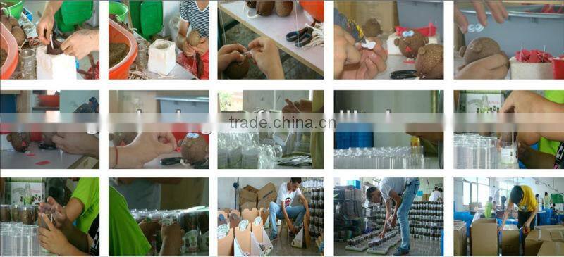 Novelty Fun Kids Plants doll grass head doll