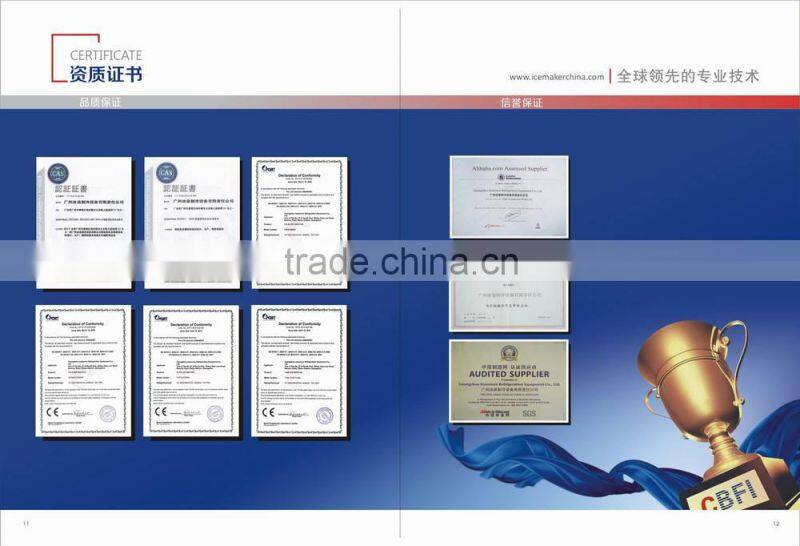 Large scale ice maker 20 ton Tube Ice Machine for South East Asia