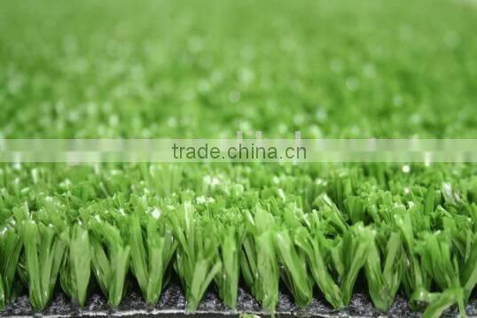 Grass for Tennis Court and Racetrack