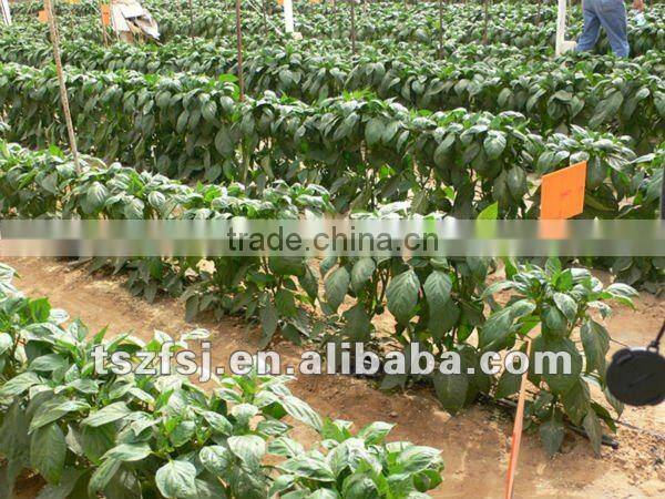 drip irrigation system drip irrigation pipe