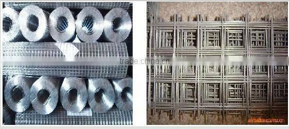 ISO 9001 Galvanized welded wire mesh price(Factory Sales)