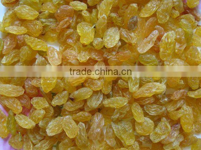 raisins, Sultana, Thompson seedless--best price