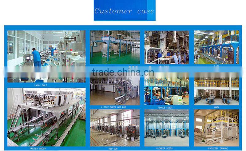 VFS5000B POWDER PACKAGING MACHINE