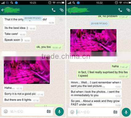 COB LED Grow Light, full specture 1200 watt led grow lights 200X6W Epistar Leds for Hydroponics/Plants Growing&Flowering