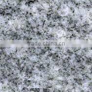 Platinum White granite slab