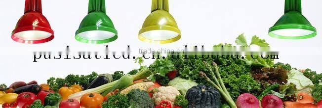 20W led lamp/ fresh light/fruit light/vegetable/meat for supermarket CE,RoHS,IES Approved from china manufacture