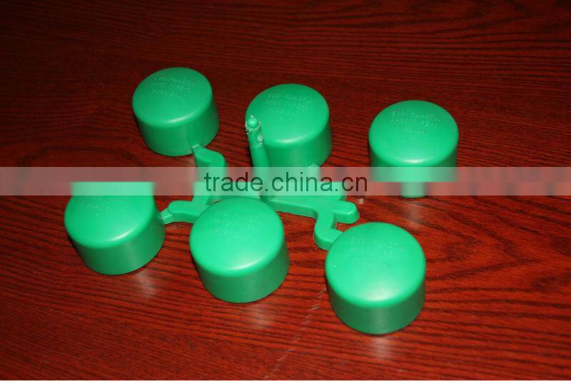6 cavities PPR end cap fitting mould pipe fitting mould