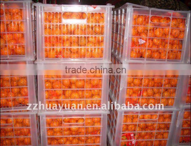 2013 Fresh Nanfeng honey Oranges from China