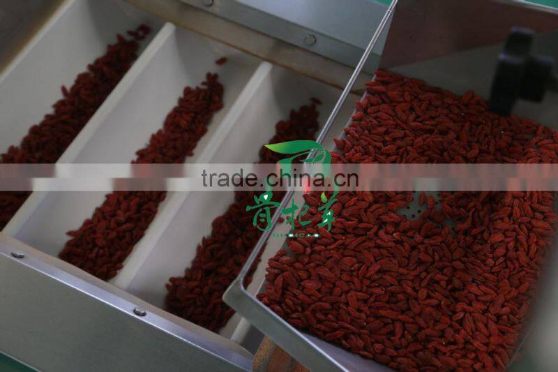 frozen red fresh medlar,goji fruit wolfberry,dried goji berry