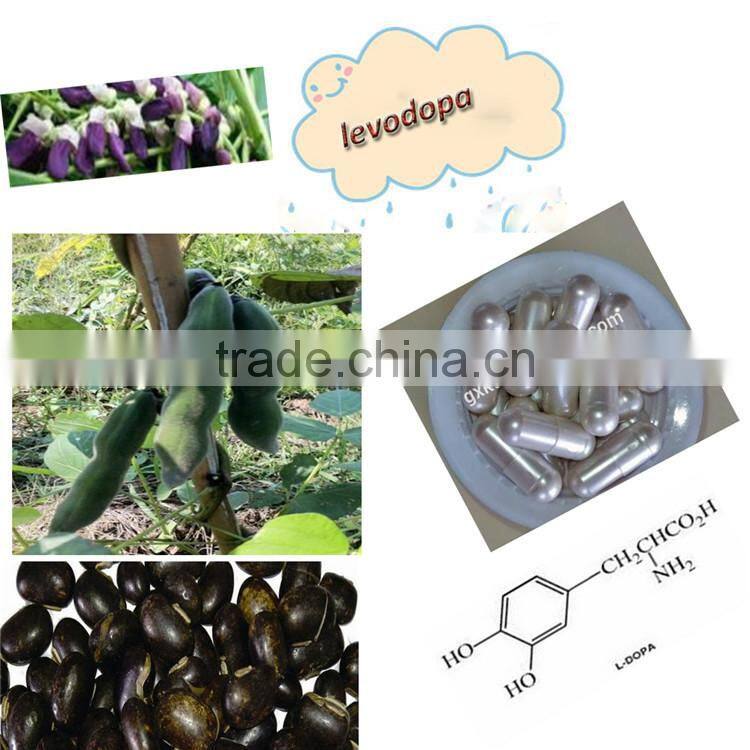 Velvet Bean Seeds Extract L-dopa for health care product