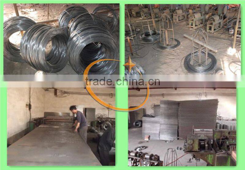 TAIYU Automatic Feeder for Farm Laying