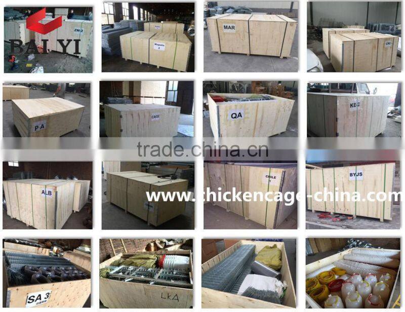 Breeding Pigeon Cage Factory Sale