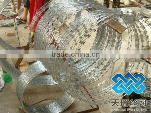 Galvanized Barbed Wire with 4 Points / razor barbed wire