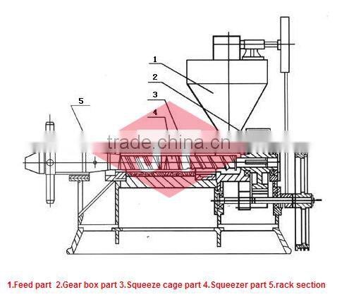 Factory price almond oil making machine/almond oil expeller