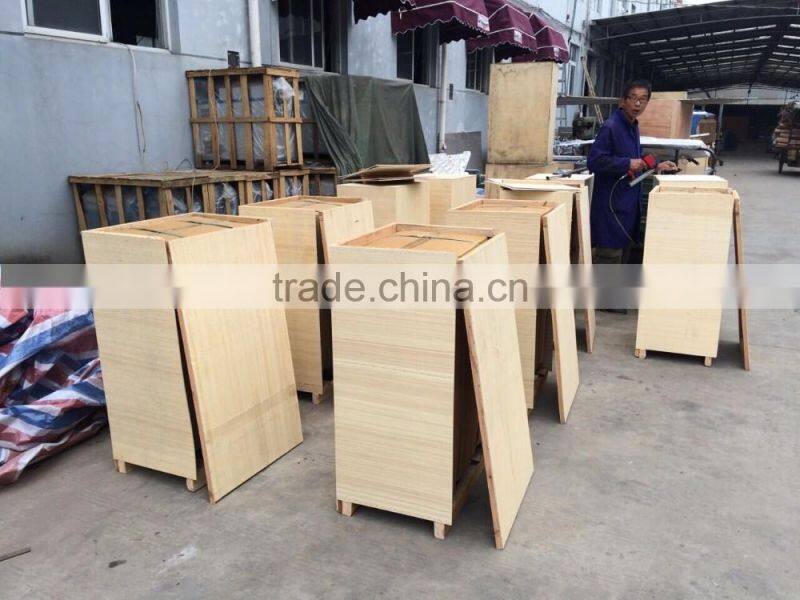 YMT-20 Stainless Steel Dough Kneading and Pressing Machine with Noodle Making function