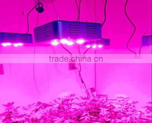Cob grow led lights 300w led grow light full spectrum for medical plants