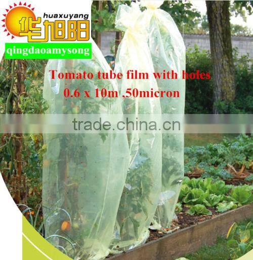 Blow molding LDPE plastic green color tomato pe tube perforated film