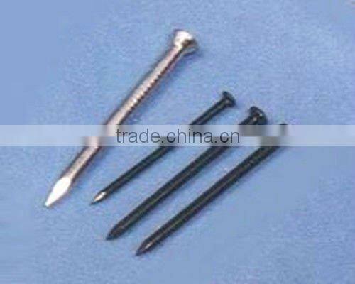 Shoe Tack Nails-Hebei China Supply Best Quality and Price