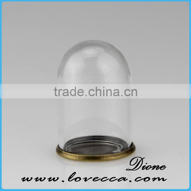 Mouth Blown Modern decoration Glass Globe customized flower clear glass display dome
