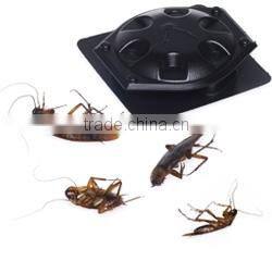 Cockroach trap