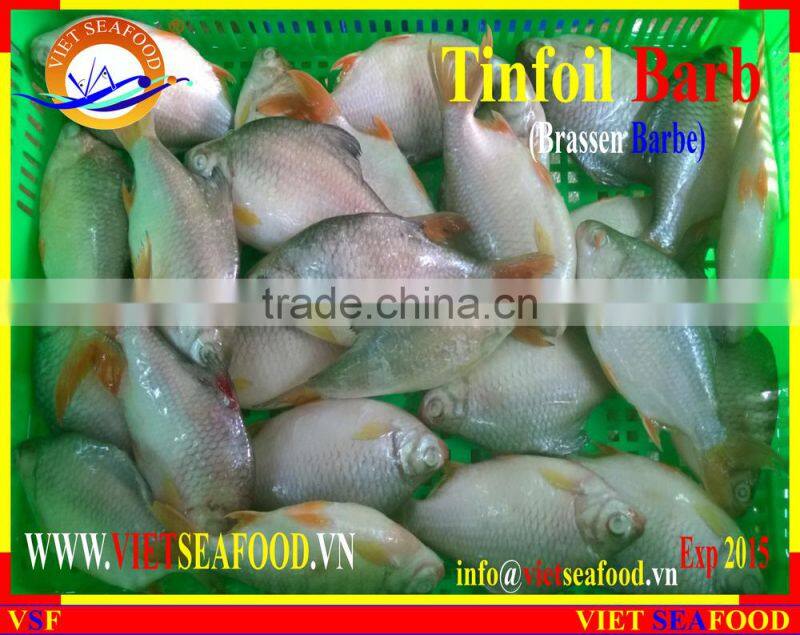 FROZEN W/R RED TAIL TINFOIL BARB