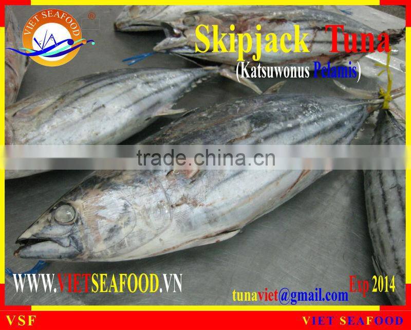 FROZEN W/R SKIPJACK TUNA