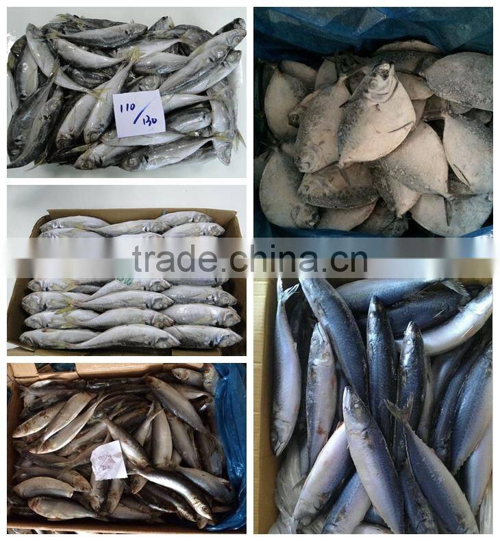 FROZEN SEAFOOD HORSE MACKEREL