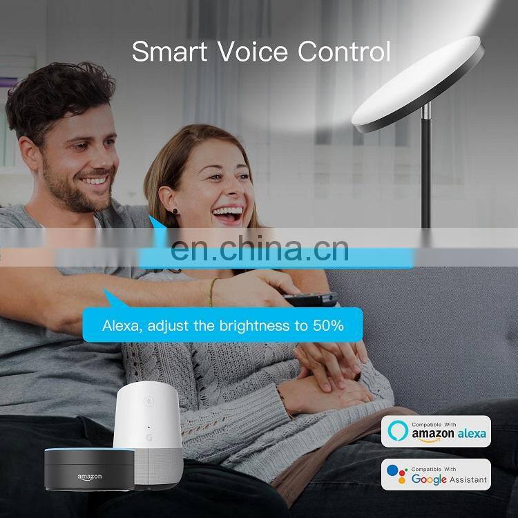 Modern Nordic Led RGB Living Room Floor Lamp