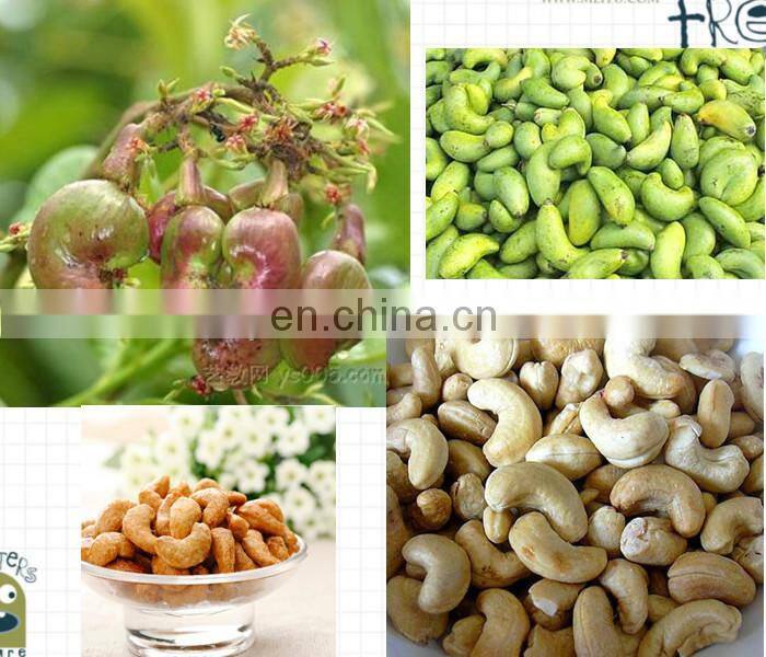 High efficiency Cashew Nut Shelling machine /cashew nut sheller machine/cashew nuts peeling machine