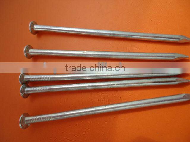 Galvanized Common Nails/Common Wire Nails/Poloshed Iron Nails
