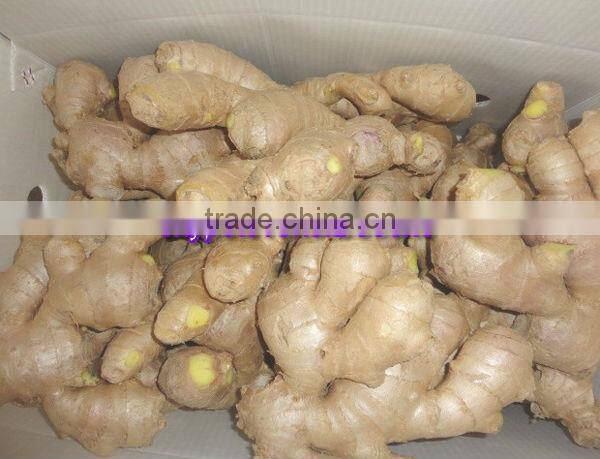 2014 New Crop Air Dried Ginger Lowest Price