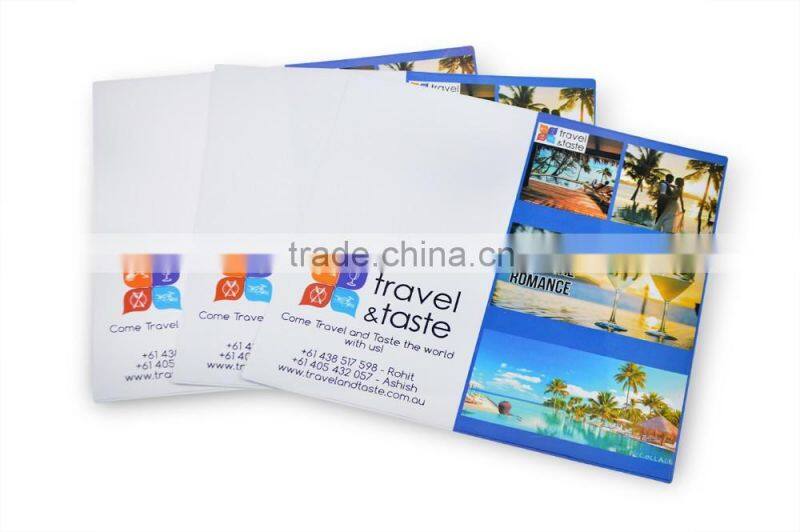 CMYK Printing PVC Ticket Holder with Two Clear Pocket