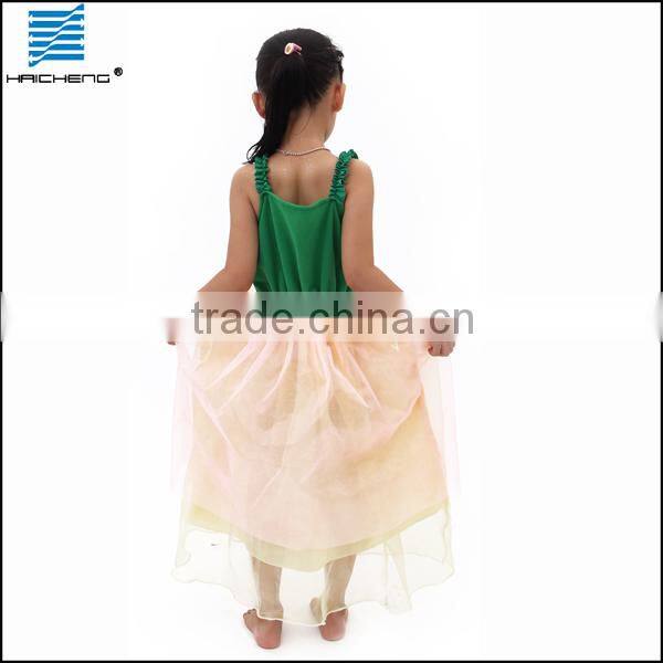 Princess dress costume for party DC017