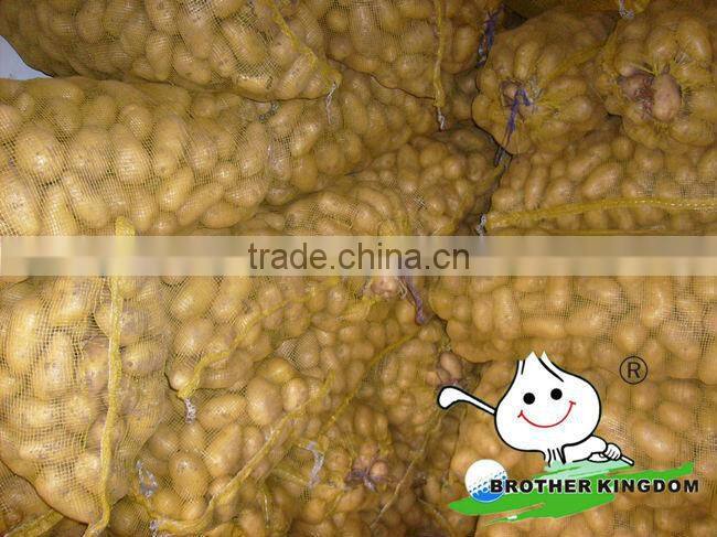 China fresh potato with best price