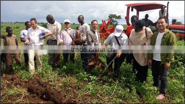 Experienced factory supply mini combine harvester of cassava harvesting tool for sale