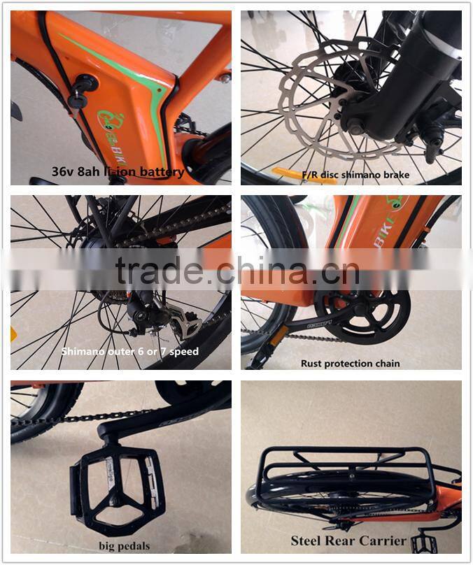 Flyer Cheap but Good electric bicycle with high quality