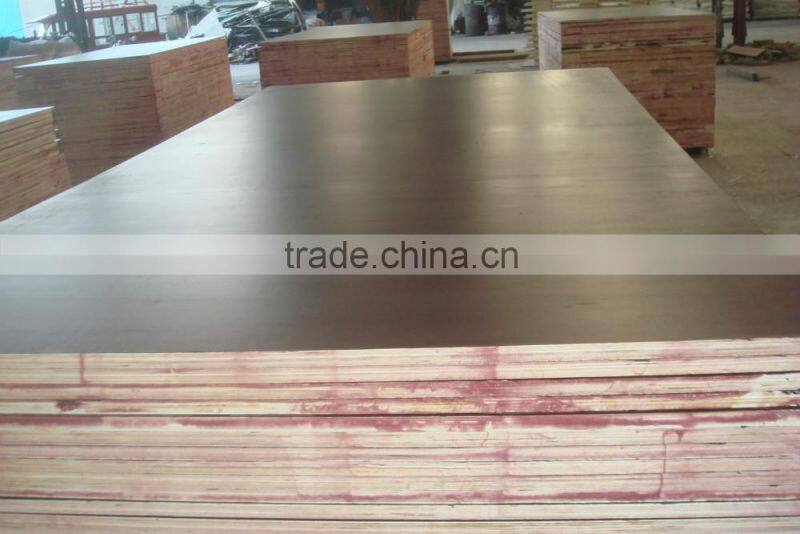 4'X8", Wbp glue, poplar film faced plywood for construction from Linyi factory