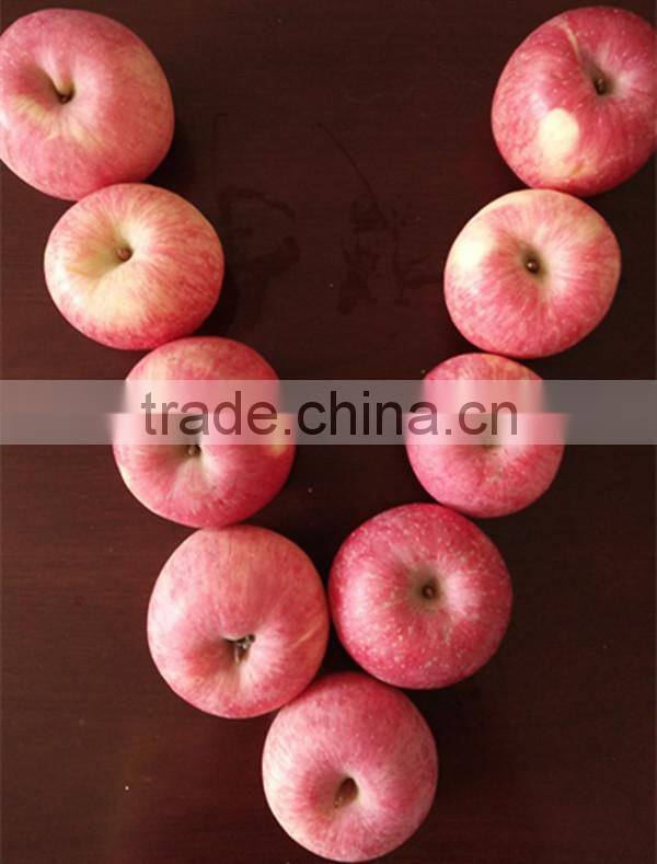 Best selling nutritious Apple Fuji Apples Chinese Fuji Apple