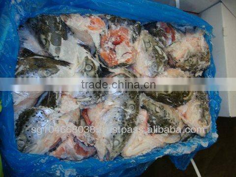 ATLANTIC SALMON HEADS