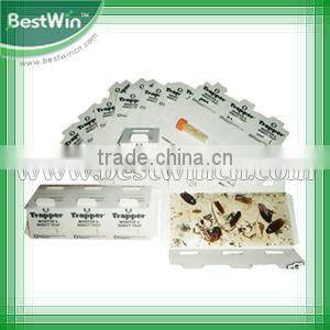 cockroach glue tunnel