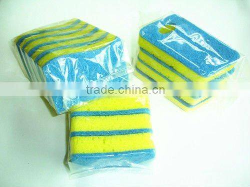 sponge scour