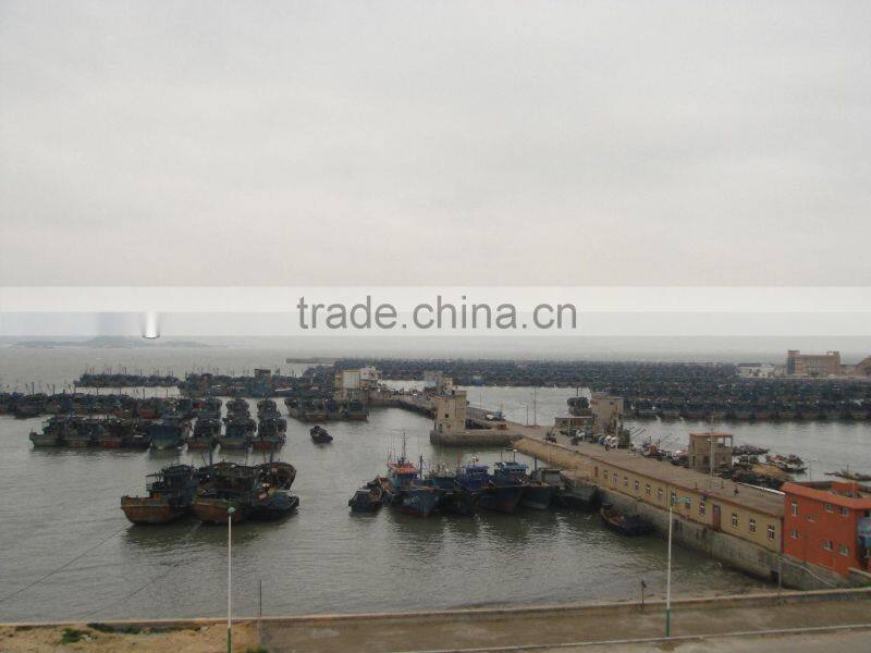 wholesale products WR frozen sardine 20-25pcs/kg with high quality