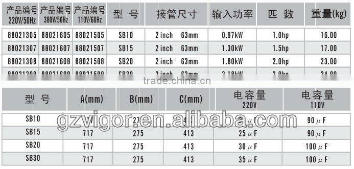 NSK bearing pool massage pump, pool water filter pump
