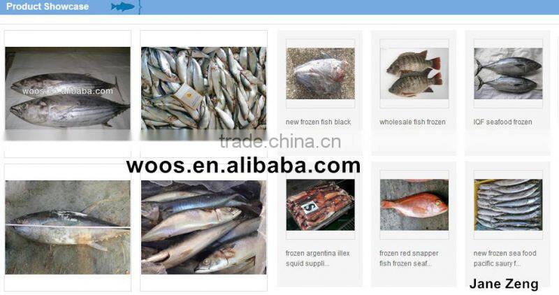 wholesale frzoen oyster meat