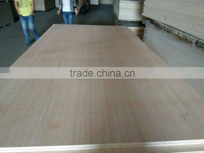 Plywood Factory EV Poplar Plywood With Cheap Price
